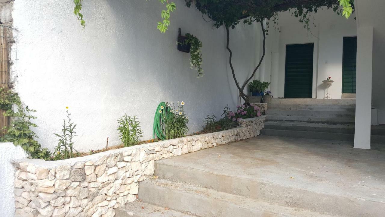 Apartment Cernesa Ražanac Zewnętrze zdjęcie