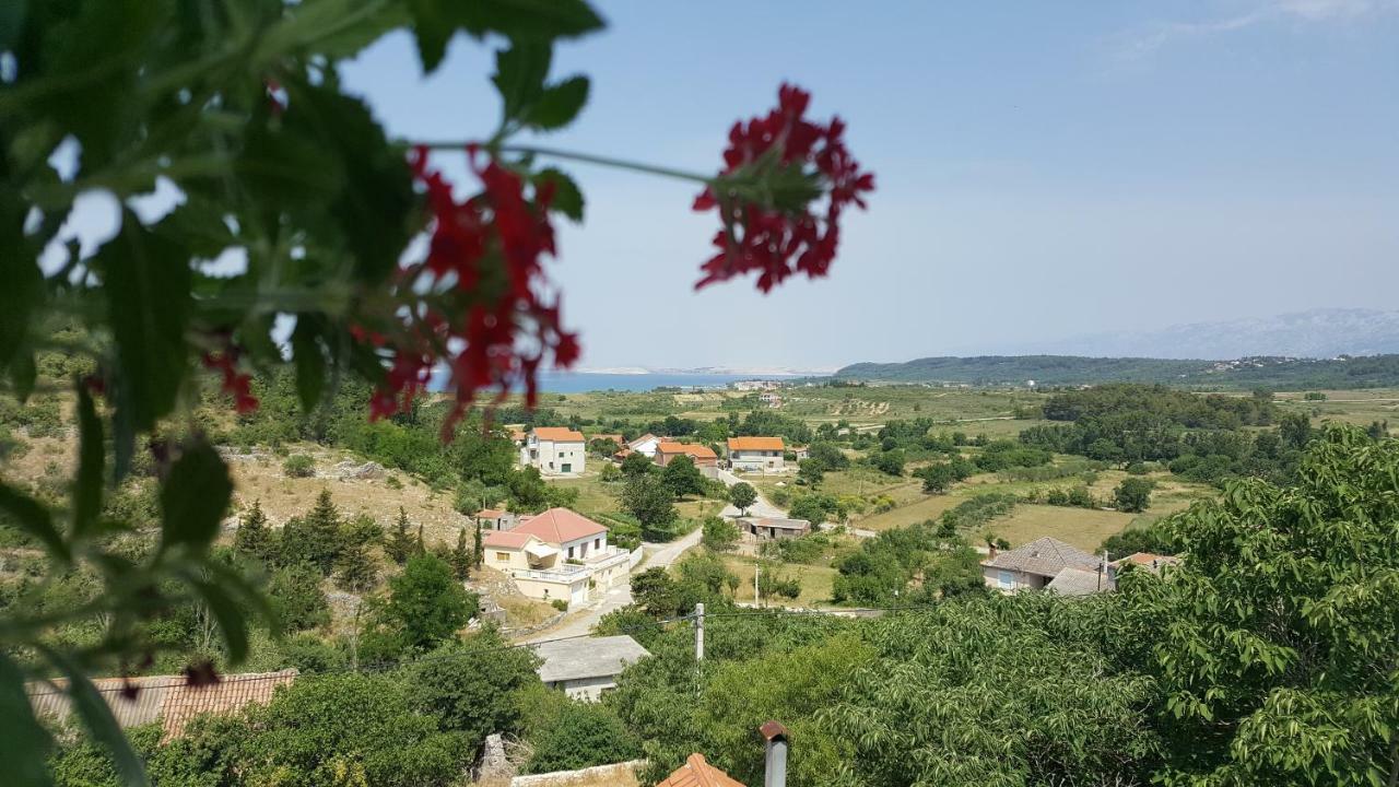 Apartment Cernesa Ražanac Zewnętrze zdjęcie