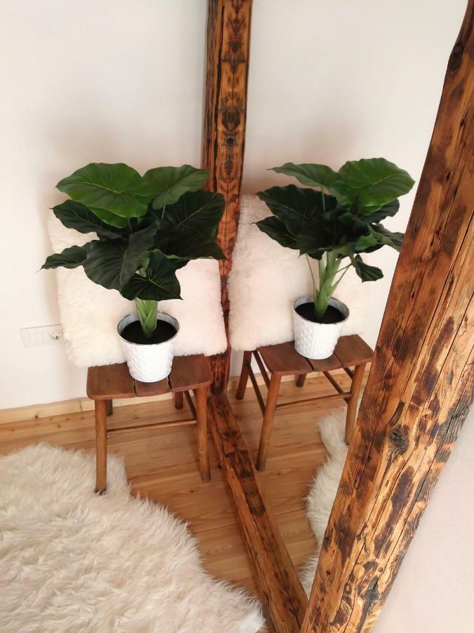 Apartment Cernesa Ražanac Zewnętrze zdjęcie